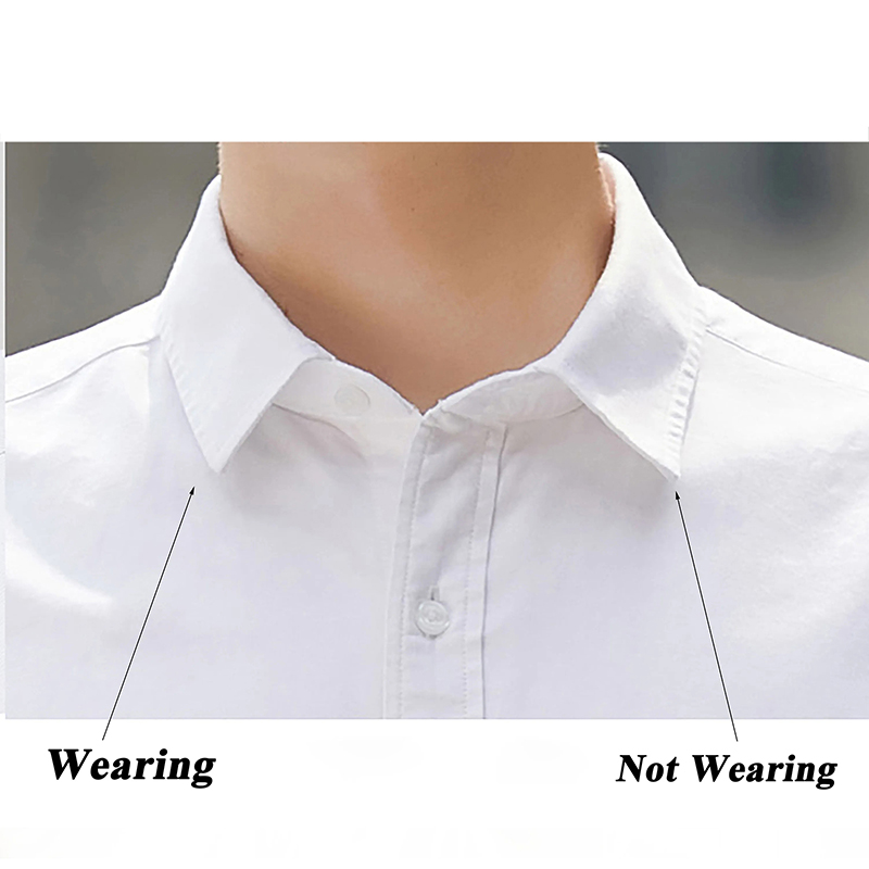 3 Size Stainless Steel Collar  - Collar Stay Metal review and price